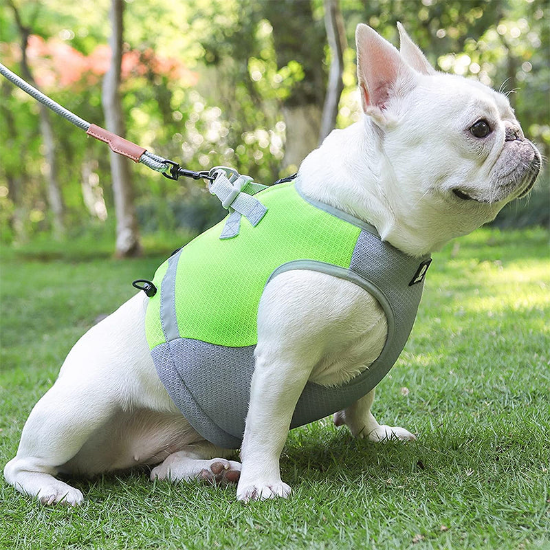 Åndbar kølevest til hunde