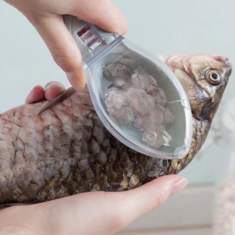 Skrabning af fiskehudsbørste