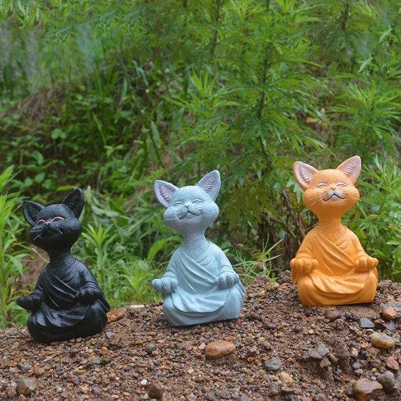 Buddha kat
