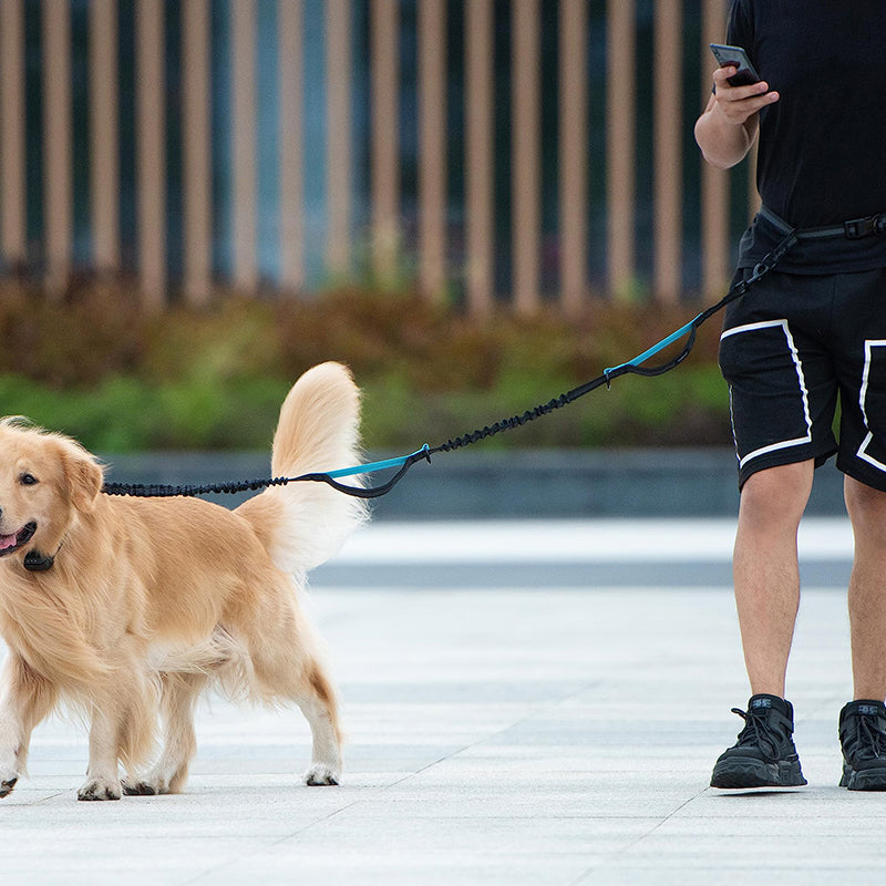 Multifunctional Dog Walking Leash and Waist Bag