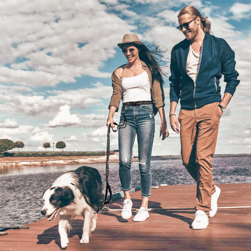 Multifunctional Dog Walking Leash and Waist Bag