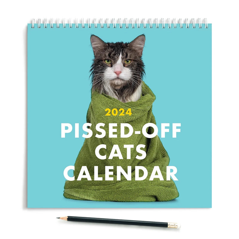 😾2024 Kalender med sure katte