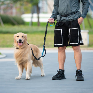 Multifunctional Dog Walking Leash and Waist Bag