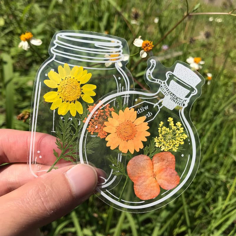 Gennemsigtige tørrede blomster bogmærker