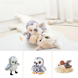 Sjov simuleret fugl | Kattelegetøj