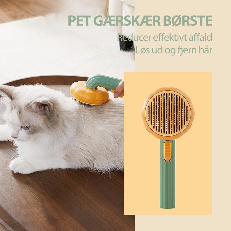 Græskar Pet Kæmning Børste