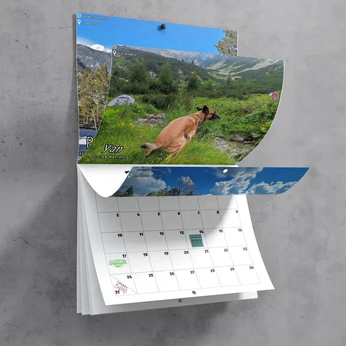 😆Århundredets sjoveste kalender | De pelsede venners "Kunstneriske udtryk"