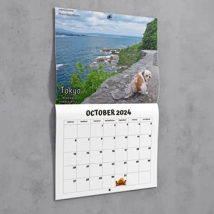 😆Århundredets sjoveste kalender | De pelsede venners "Kunstneriske udtryk"
