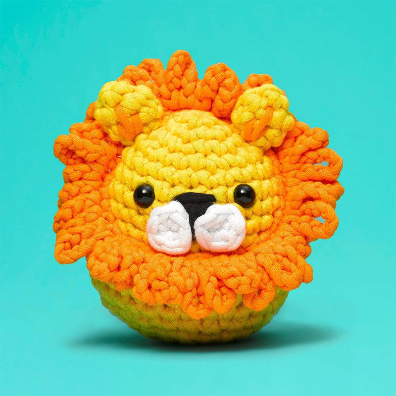 Crochet Beginners Kits
