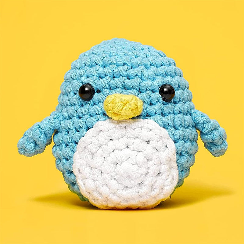 Crochet Beginners Kits
