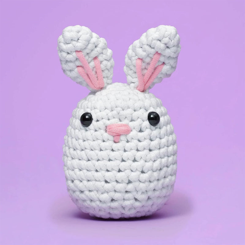 Crochet Beginners Kits