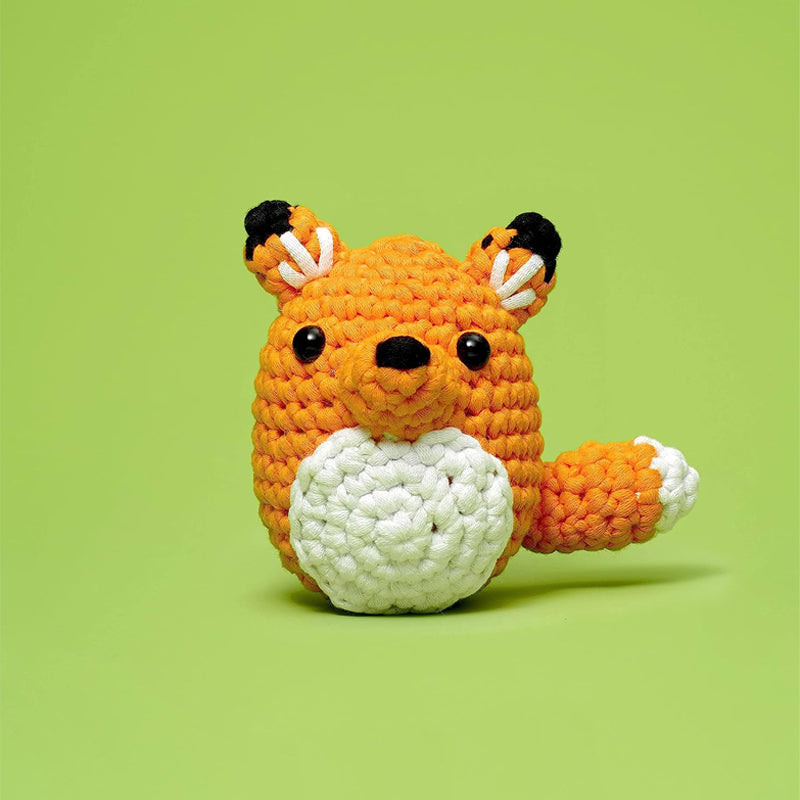 Crochet Beginners Kits