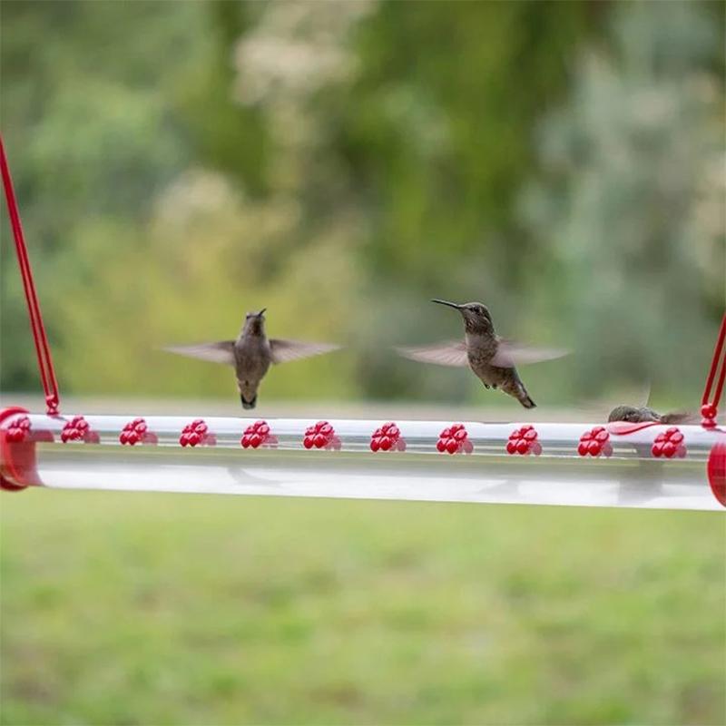 Hængende kolibri foderautomat