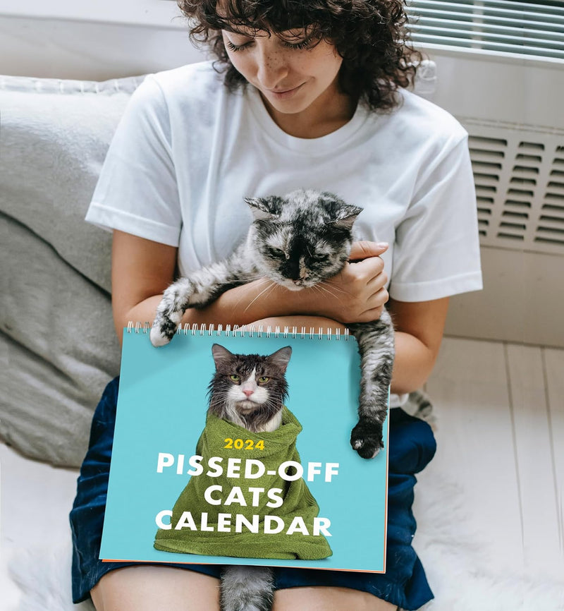 2024 Kalender med vrede katte
