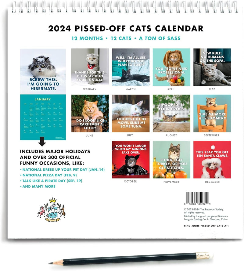 2024 Kalender med vrede katte