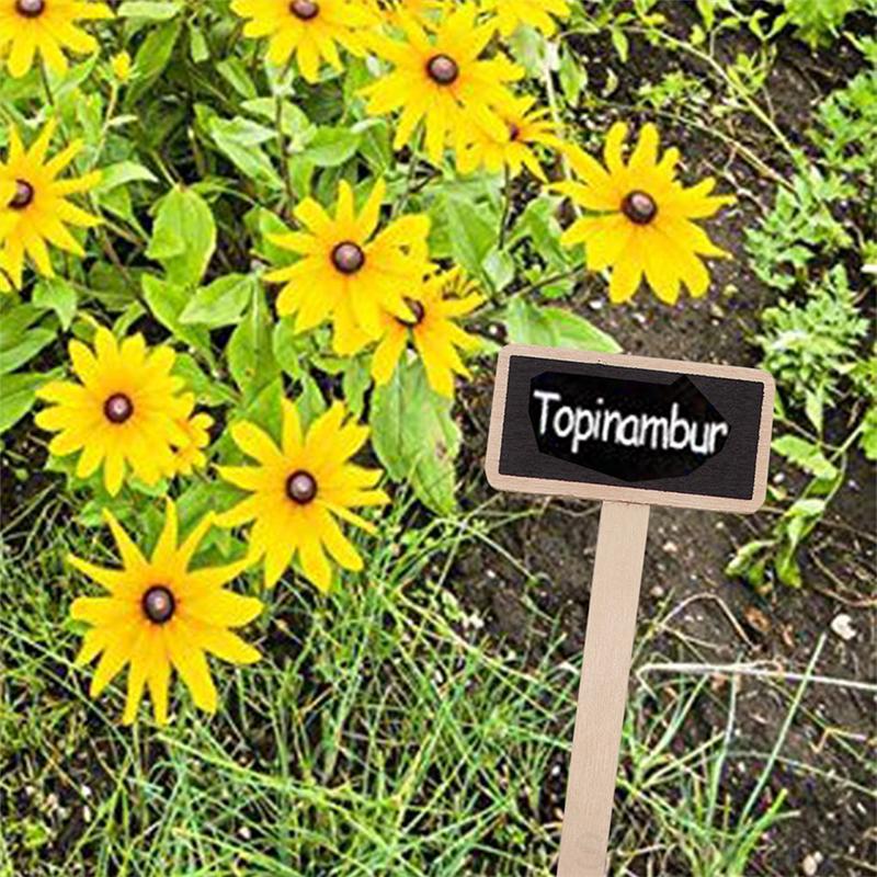 20 stk. miniplanter med trætavle til plantemarkeringer