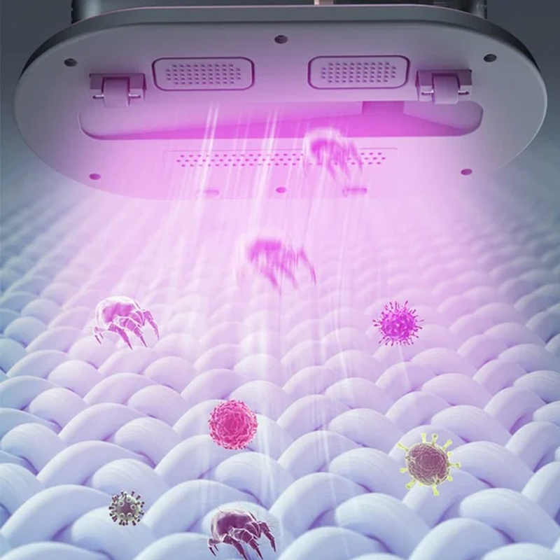 High-Frequency Device for the Removal of Strong Mites in the Household