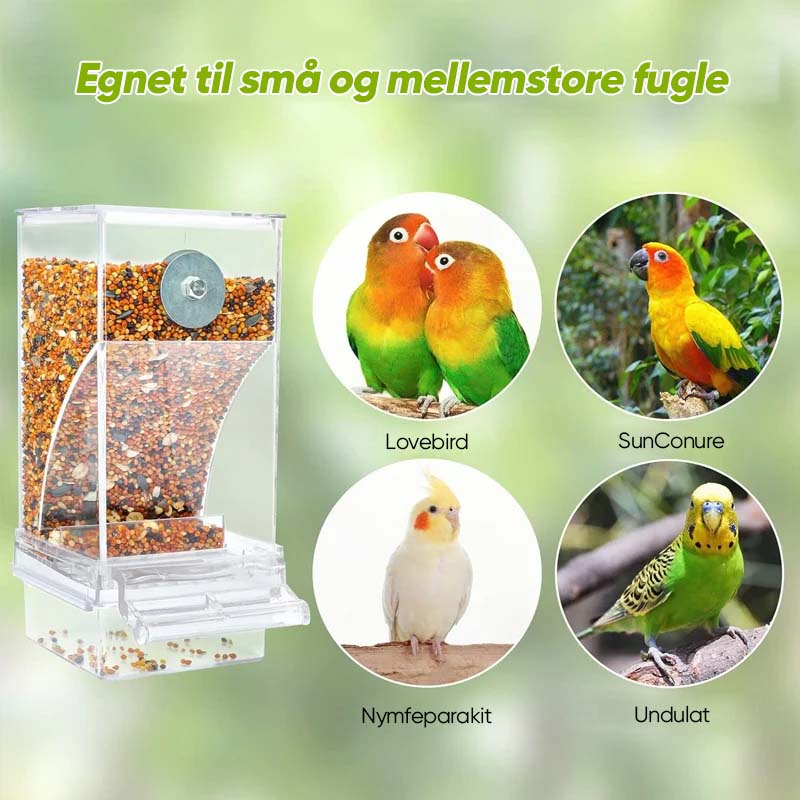 Gennemsigtig spildfri fuglefoderkasse