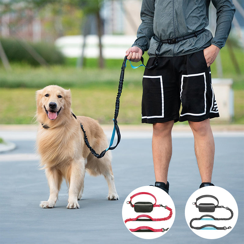 Multifunctional Dog Walking Leash and Waist Bag
