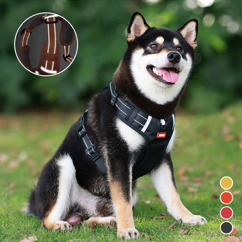 Reflekterende hundevest med sele