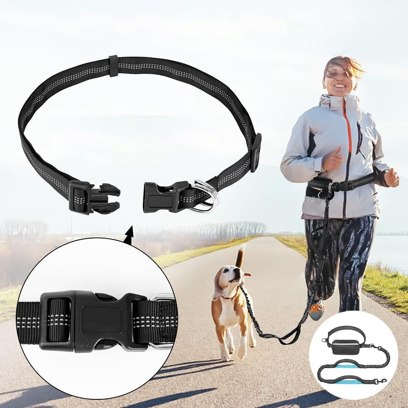 Multifunctional Dog Walking Leash and Waist Bag