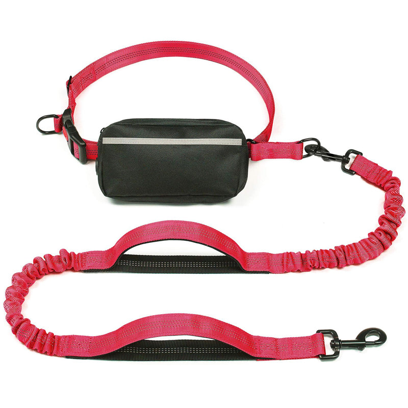 Multifunctional Dog Walking Leash and Waist Bag