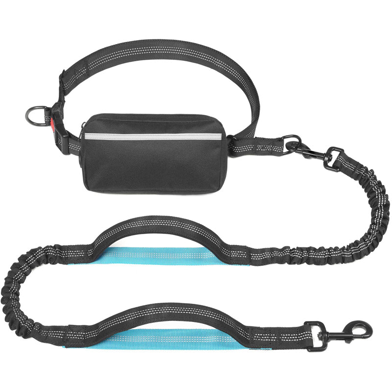 Multifunctional Dog Walking Leash and Waist Bag
